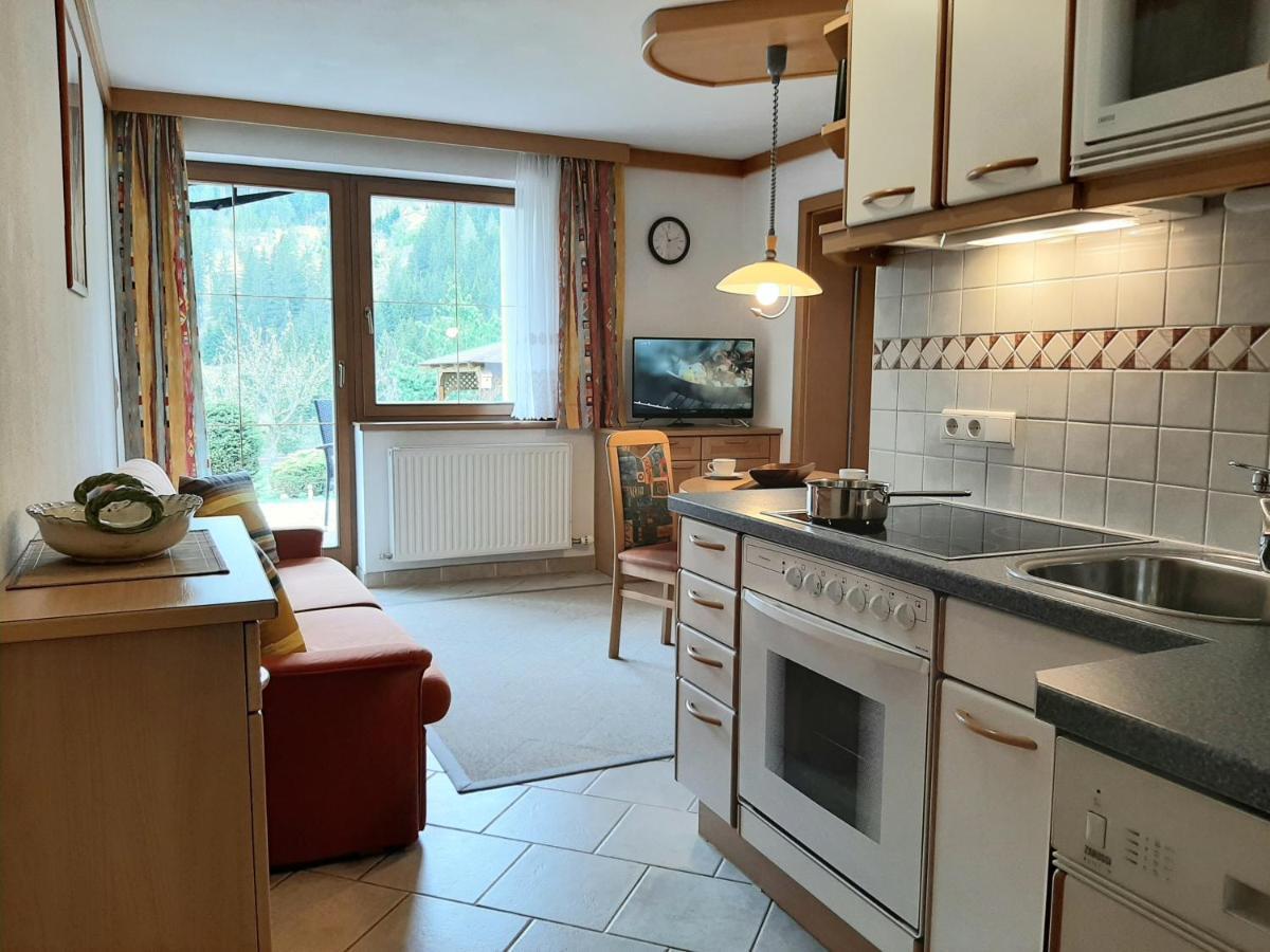 Lungau Apartment - Ferienwohnung Haus Esl Hintergöriach エクステリア 写真